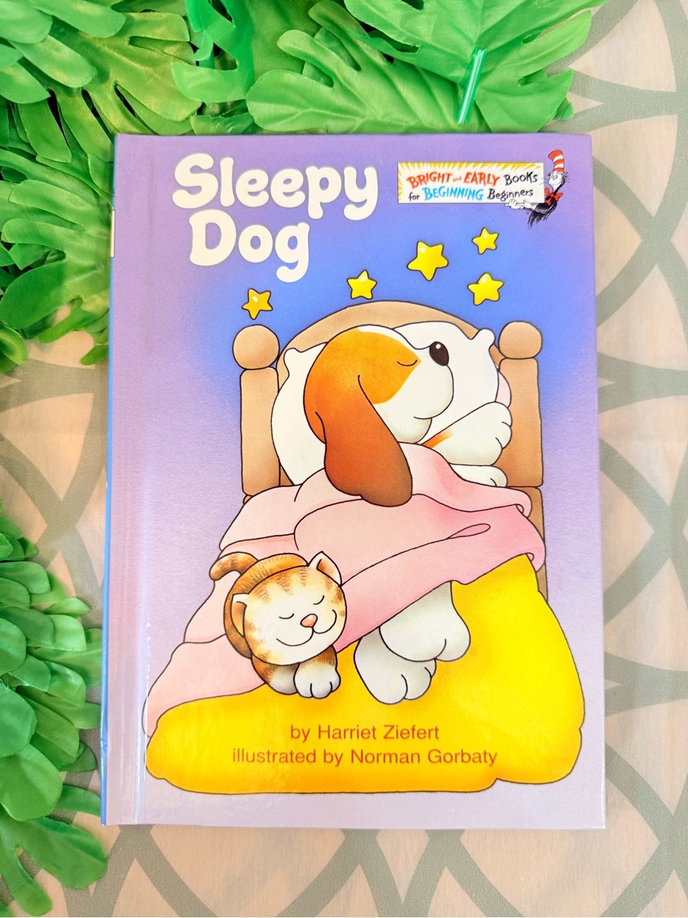 💫10/$25 • Dr.Suess Sleepy Dog Hardcover